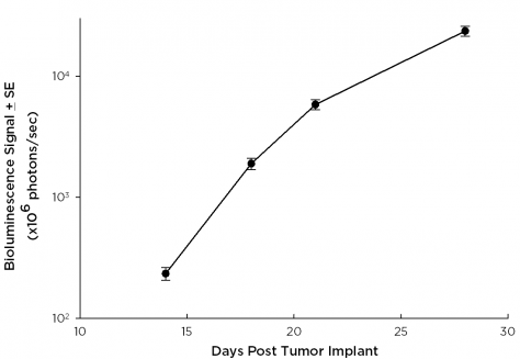 DAUDI-LUC-mCh-PURO: Human B-Cell Lymphoma