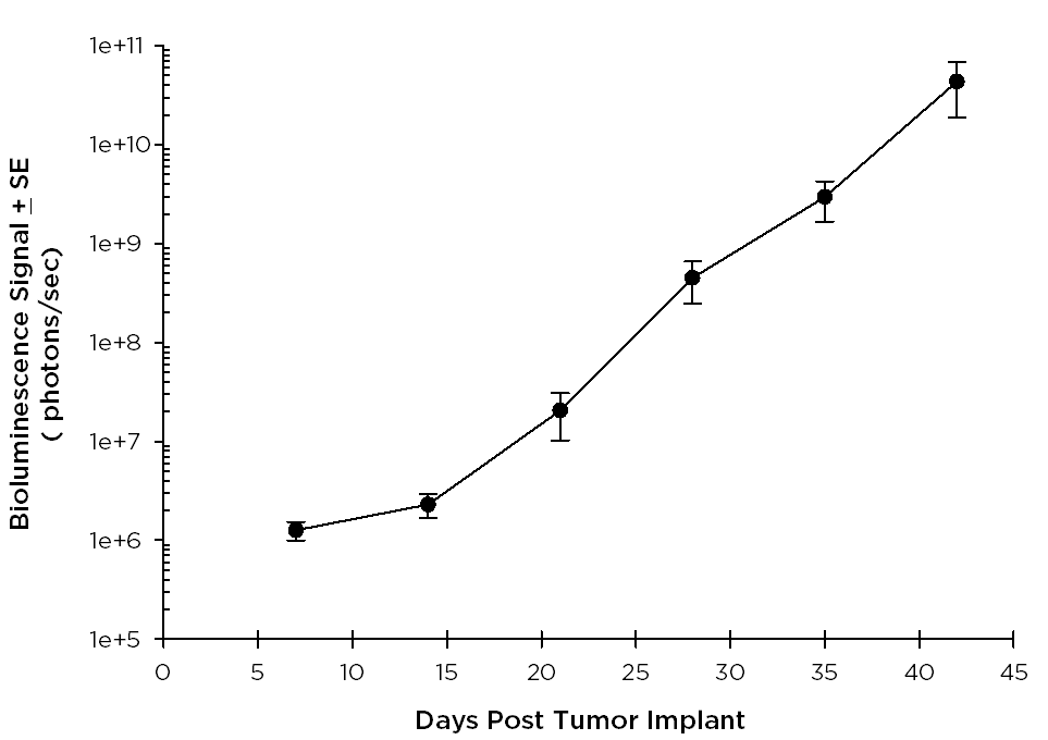 NCI-H929-Luc-mCh-Puro Human Multiple Myeloma