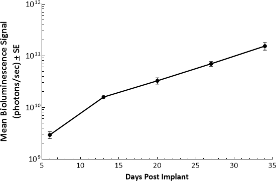 SK-OV-3 (SUBCUTANEOUS)