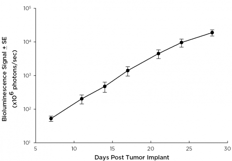 U-251-luc-mCh-Puro: Human Glioblastoma